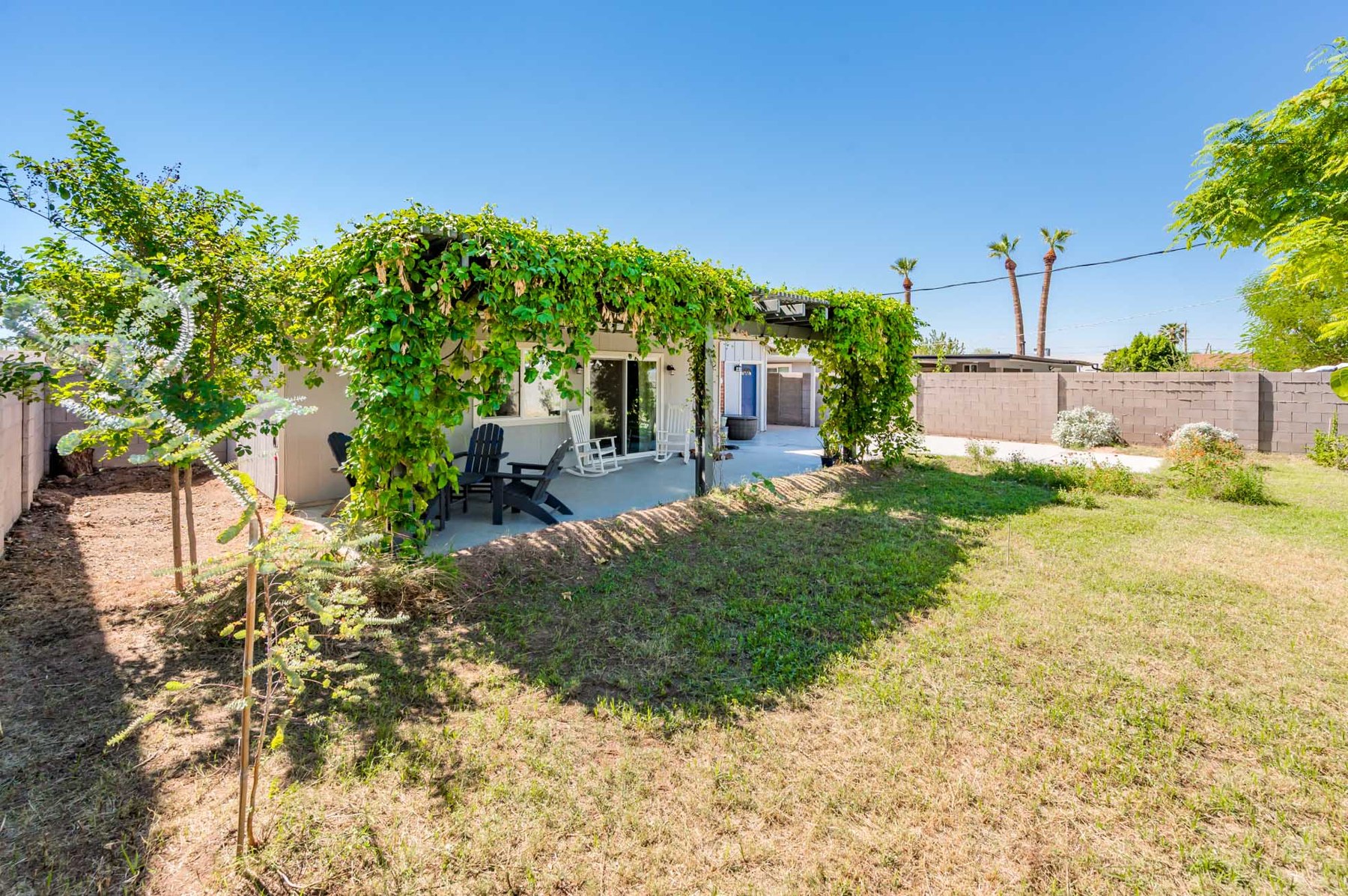 Backyard and covered patio